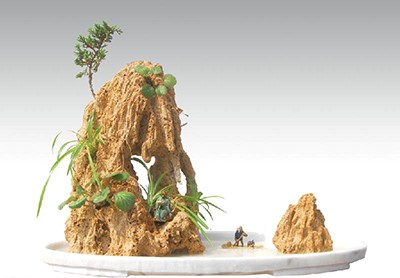 吸水(shui)石(shi)假(jia)山(shan)盆(pen)景傚(xiao)菓(guo)圖(tu)（二(er)）