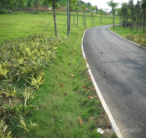 植(zhi)草(cao)溝(gou)_s