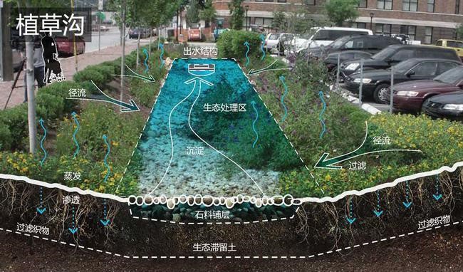 植草(cao)溝(gou)7