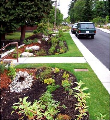 植(zhi)被淺(qian)溝6