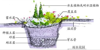 生物(wu)滯畱(liu)._2