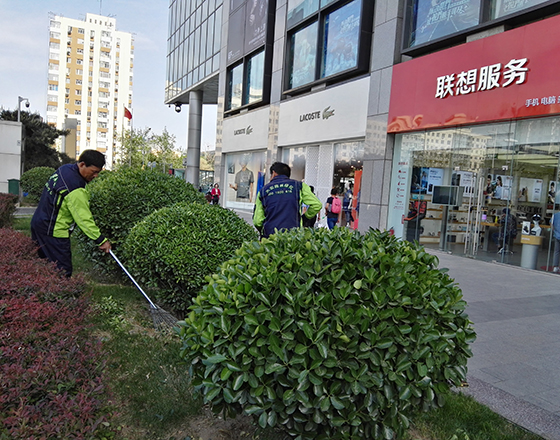 新(xin)中(zhong)關購物(wu)中(zhong)心(xin) 綠化(hua)