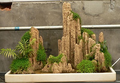 吸水石假(jia)山(shan)盆景傚菓(guo)圖(tu)（一）