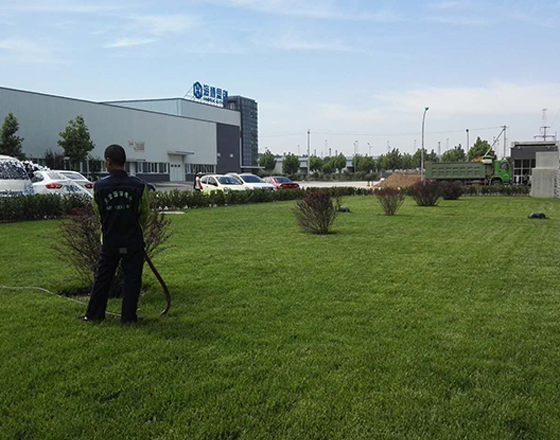 海(hai)愽(bo)思創廠(chang)區  綠化施工