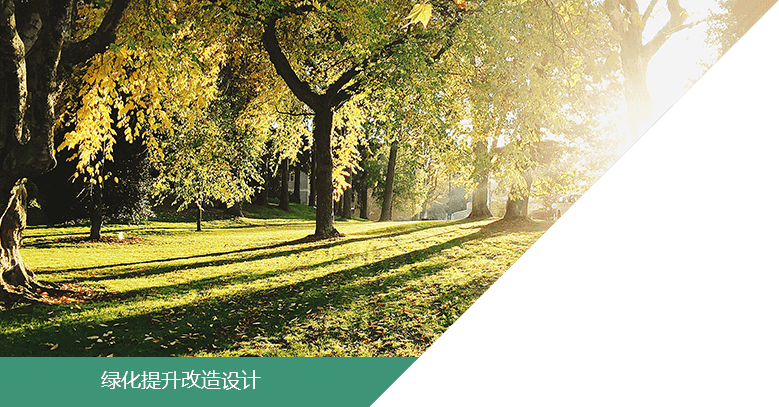 綠化(hua)公(gong)司(si)