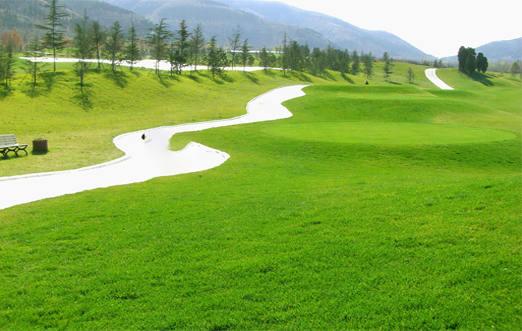 園(yuan)林(lin)綠(lv)化(hua)養(yang)護