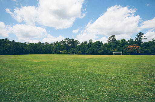 園(yuan)林(lin)養護