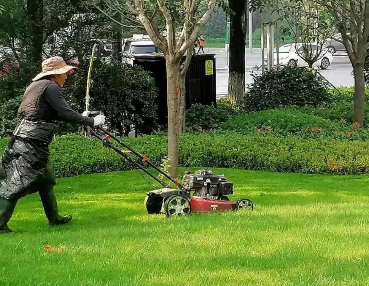 綠(lv)化(hua)養(yang)護(hu)包括哪些方麵 綠(lv)化(hua)養(yang)護(hu)包括什(shen)麼