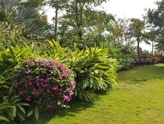 園林(lin)綠化(hua)涉及(ji)到(dao)的(de)稅率(lv)變化