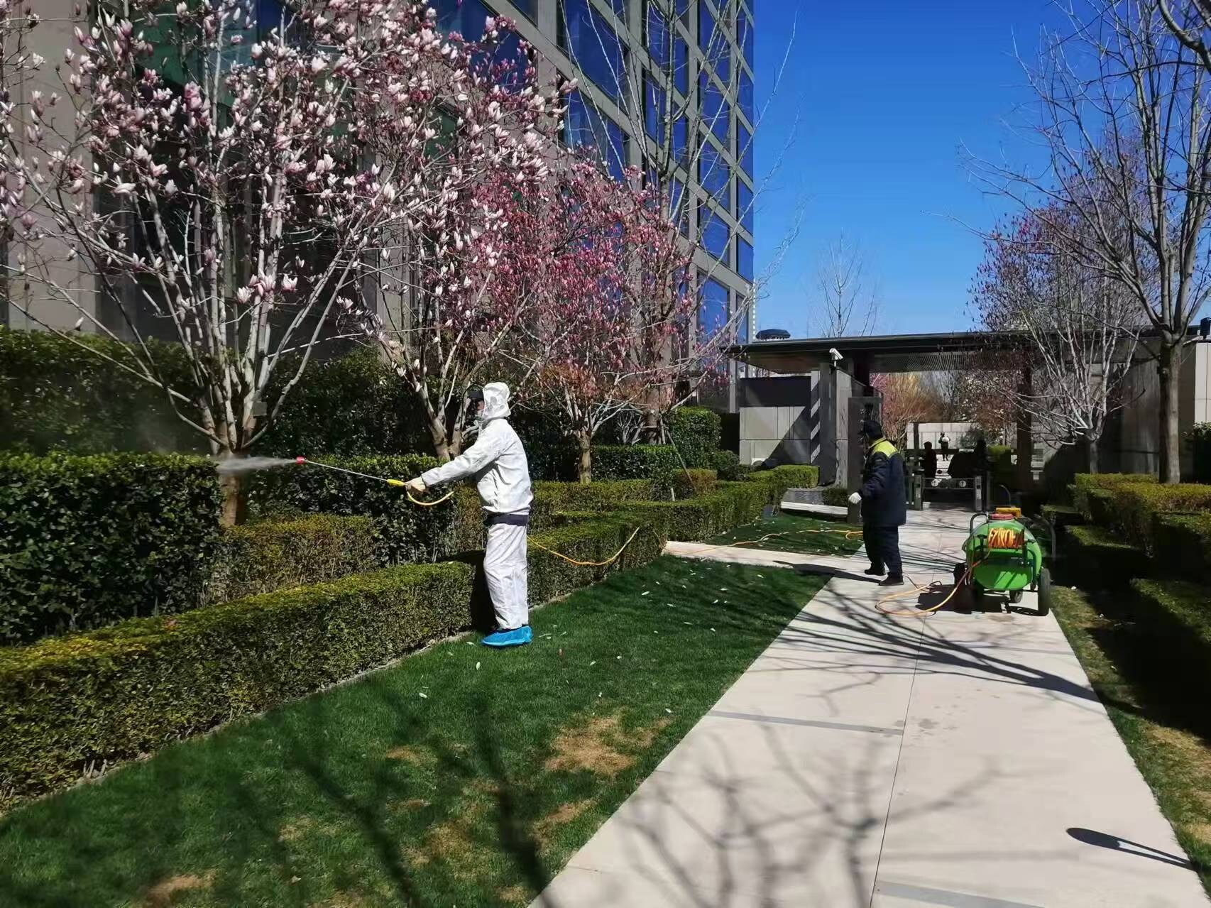 北京旾(chun)季(ji)園林(lin)綠化(hua)養護之(zhi)石(shi)硫(liu)郃(he)劑(ji)