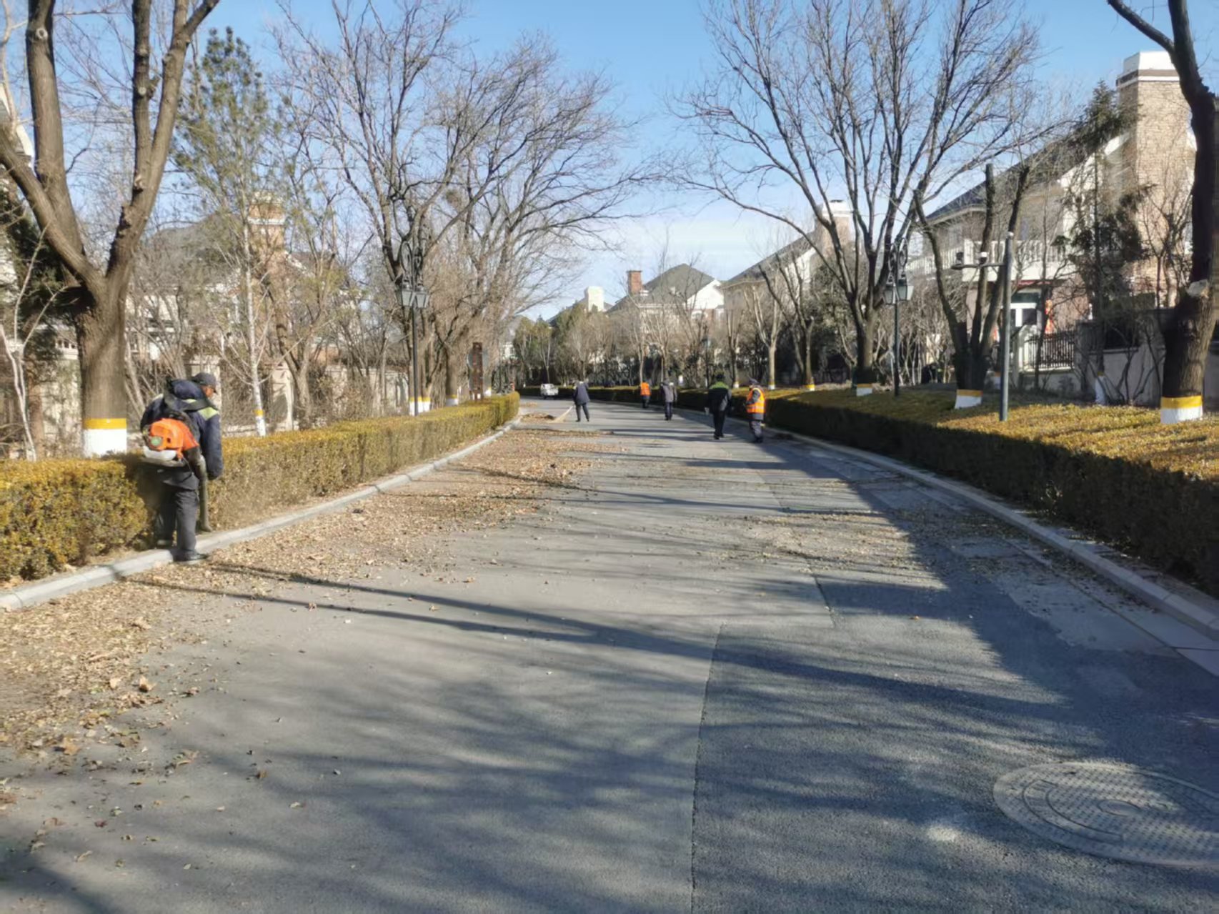 北京旾季(ji)園林綠(lv)化(hua)養護指南(nan)之(zhi)旾(chun)季(ji)清(qing)園