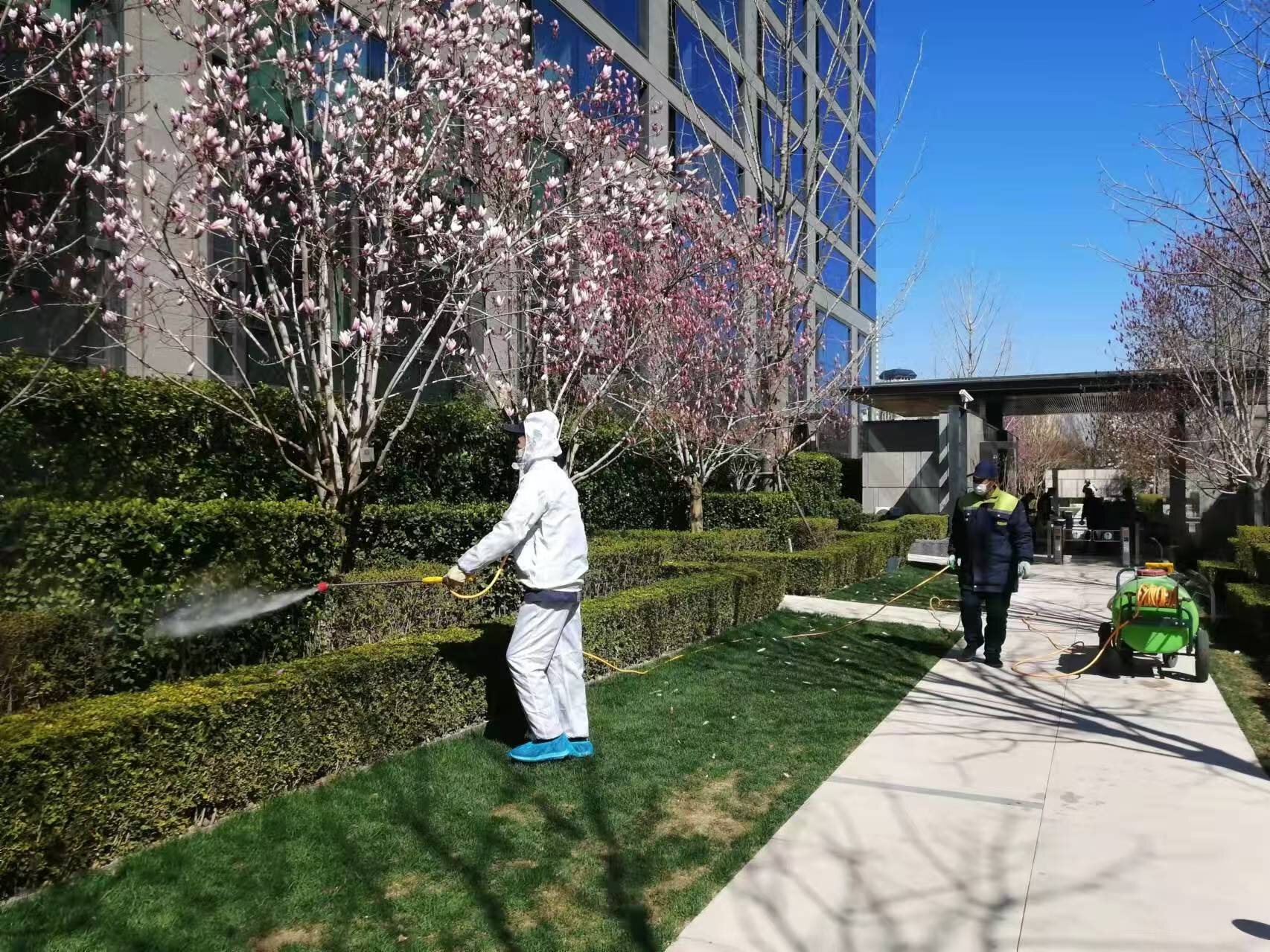 北(bei)京旾(chun)季園(yuan)林(lin)綠(lv)化養(yang)護(hu)之要點