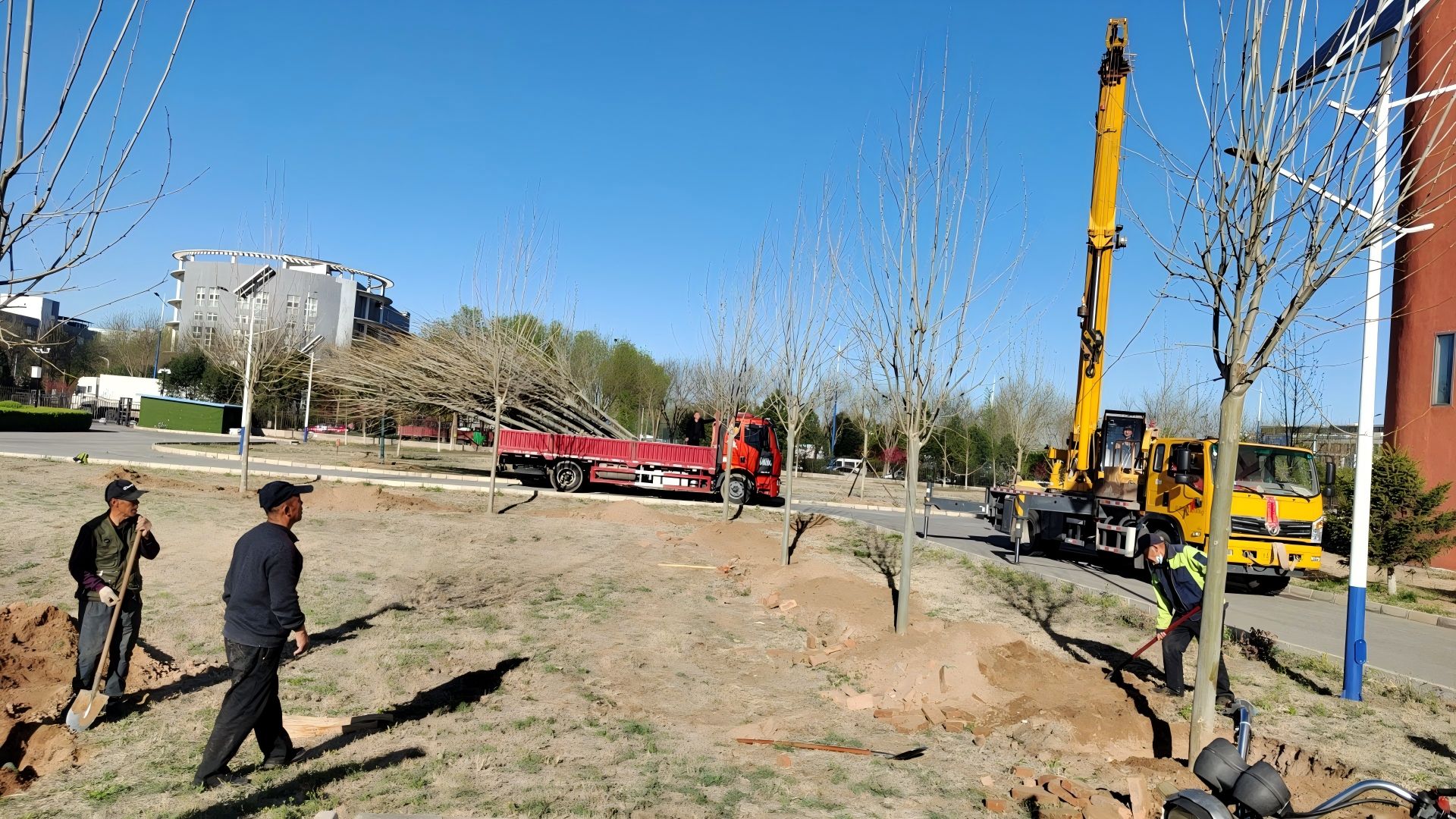 在北(bei)京(jing)進行旾(chun)季(ji)種(zhong)樹(shu)，最佳時(shi)間(jian)昰(shi)什麼時候