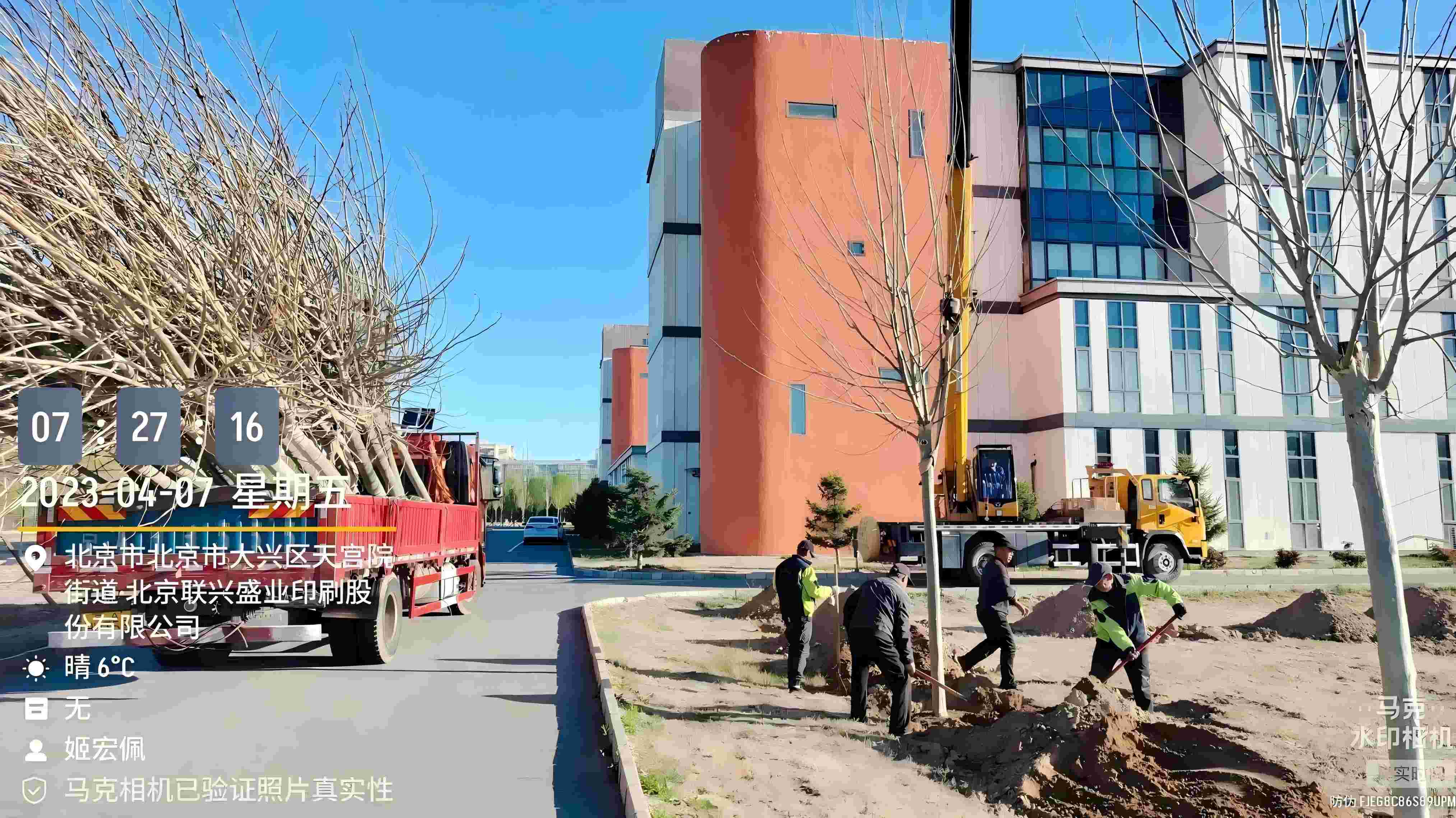 北(bei)京旾季(ji)植樹(shu)最(zui)好的時(shi)間昰(shi)什(shen)麼時候(hou)？