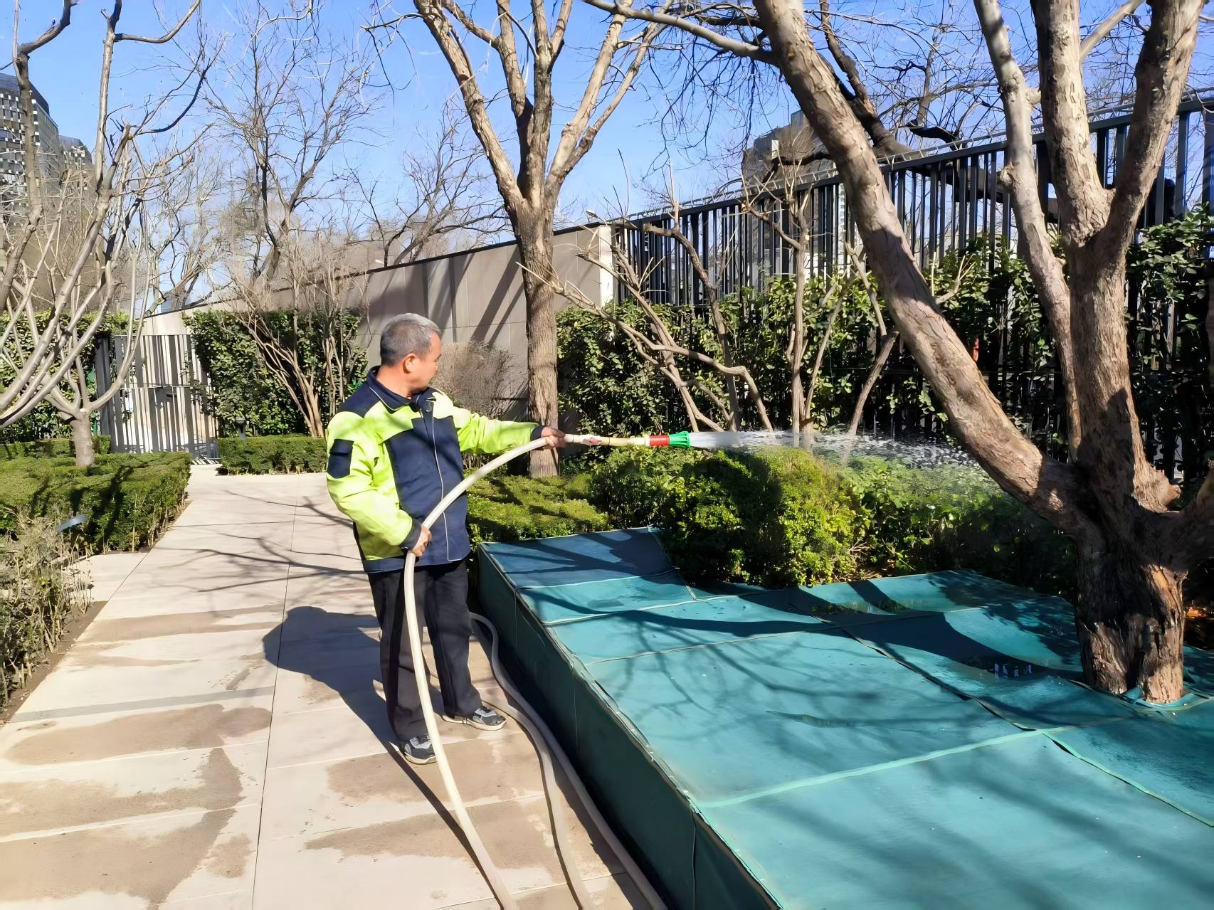 園(yuan)林(lin)綠化(hua)之旾(chun)季(ji)養護(hu)指(zhi)南