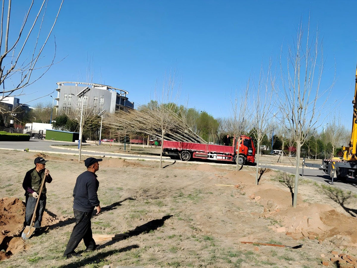 中(zhong)國(guo)獸(shou)藥監督所