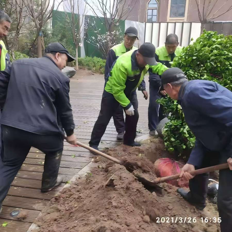 園(yuan)林綠化(hua)工(gong)程(cheng)施(shi)工(gong)中有那些(xie)註意事項(xiang)